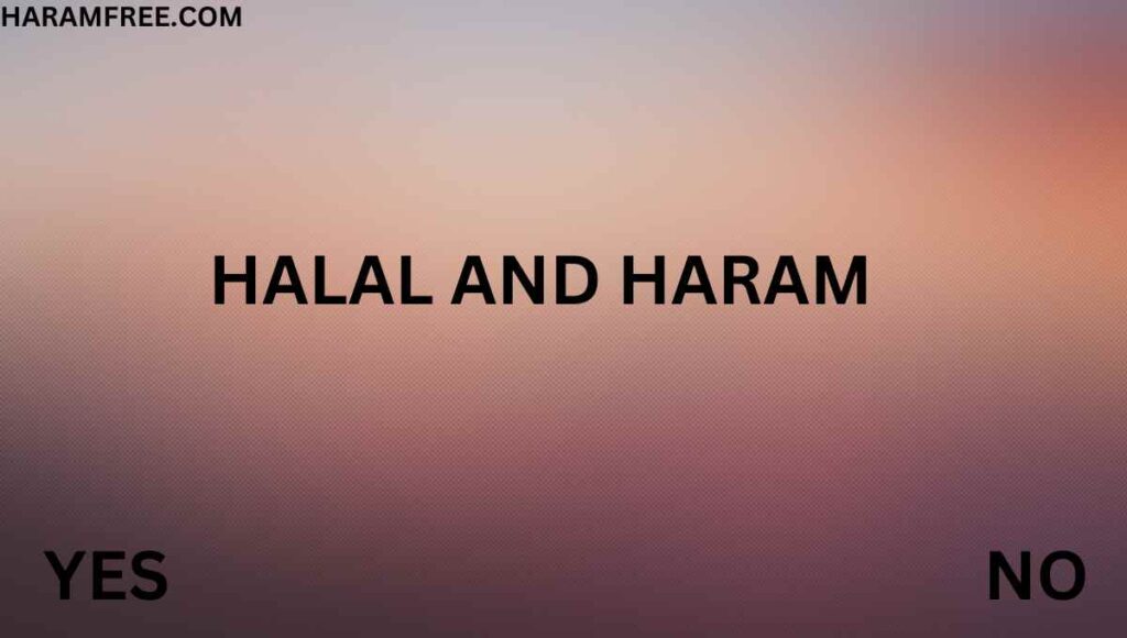 What is halal and haram?