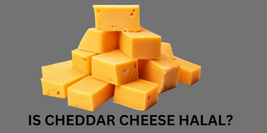 IS CHEDDAR CHEESE HALAL?
