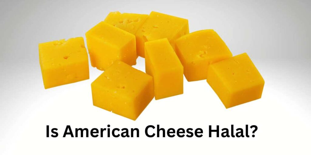 Is American Cheese Halal?
