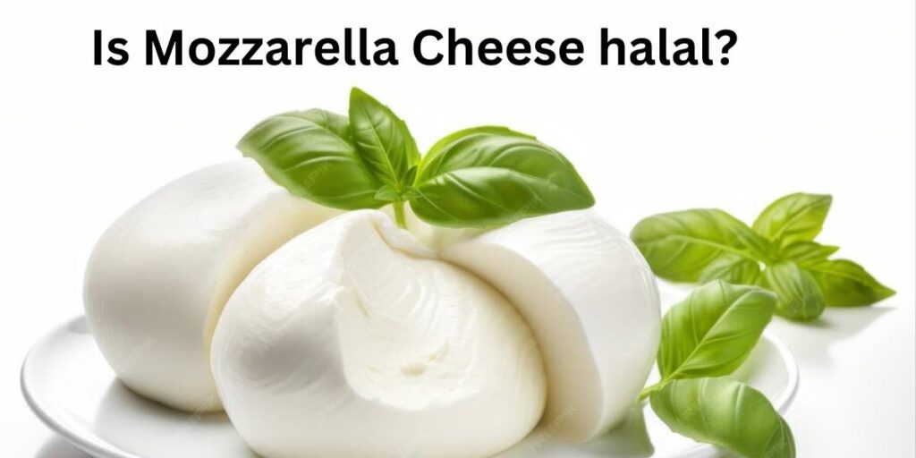 Is Mozzarella Cheese halal?