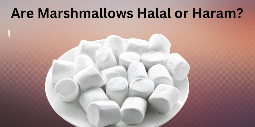 Are Marshmallows Halal or Haram?