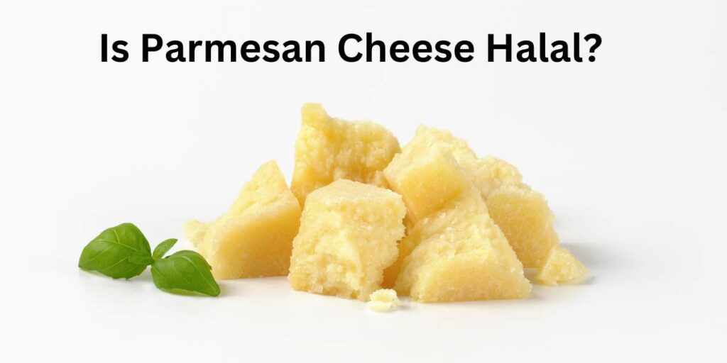 Is Parmesan Cheese Halal and Haram?