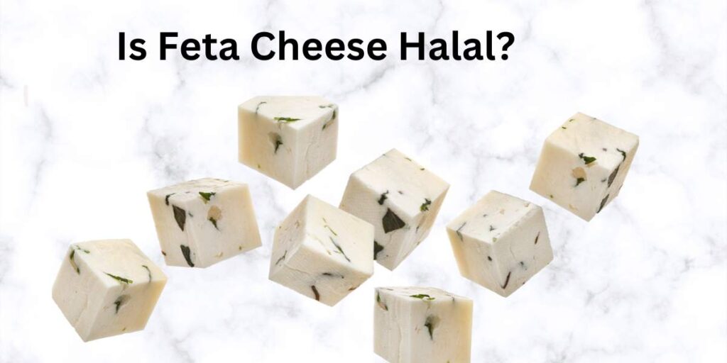 Is Feta Cheese Halal?
